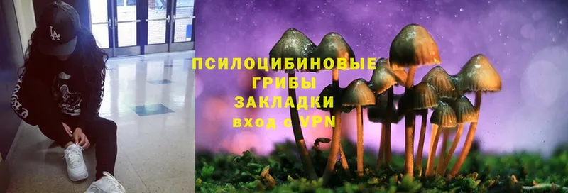 Галлюциногенные грибы MAGIC MUSHROOMS  Арамиль 